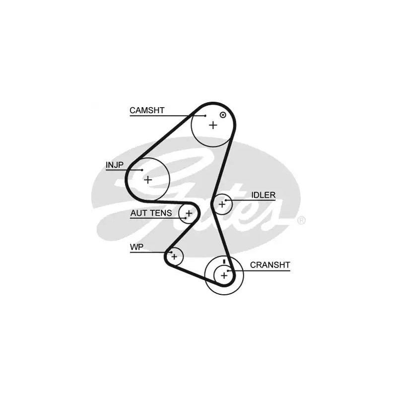 Paskirstymo diržas  GATES 5589XS