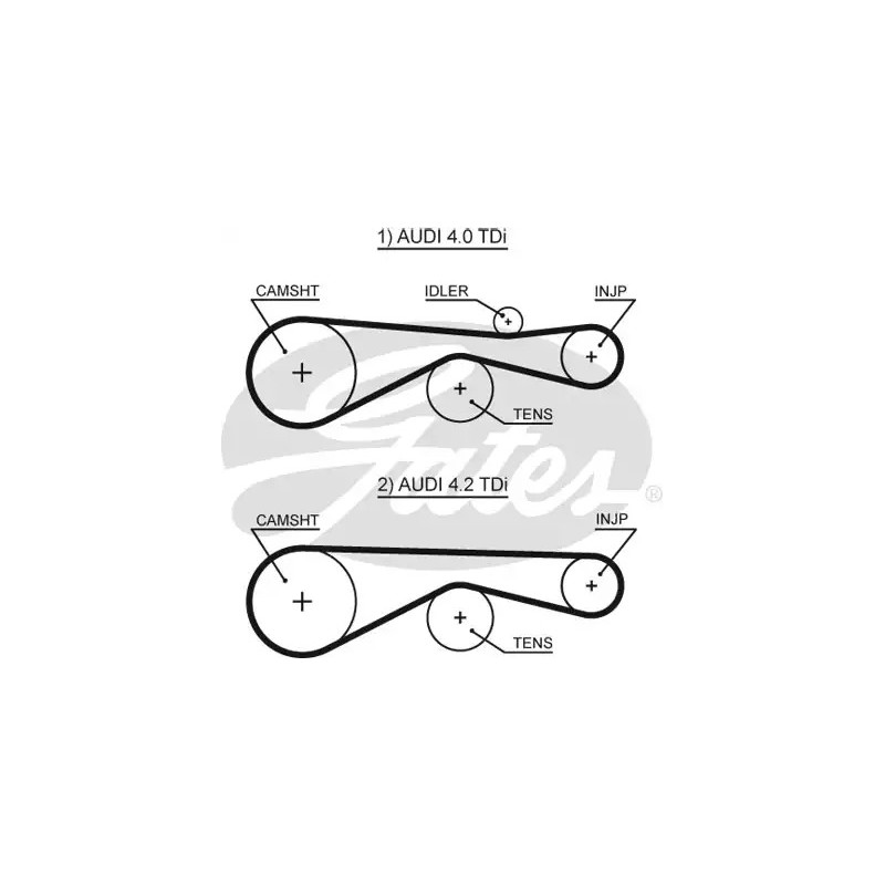 Paskirstymo diržas  GATES 5613XS