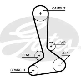 Paskirstymo diržas  GATES 5645XS
