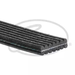 Dirželis  GATES 7DPK1880