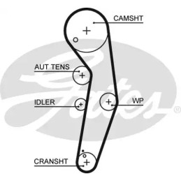 Paskirstymo diržo komplektas  GATES K015569XS