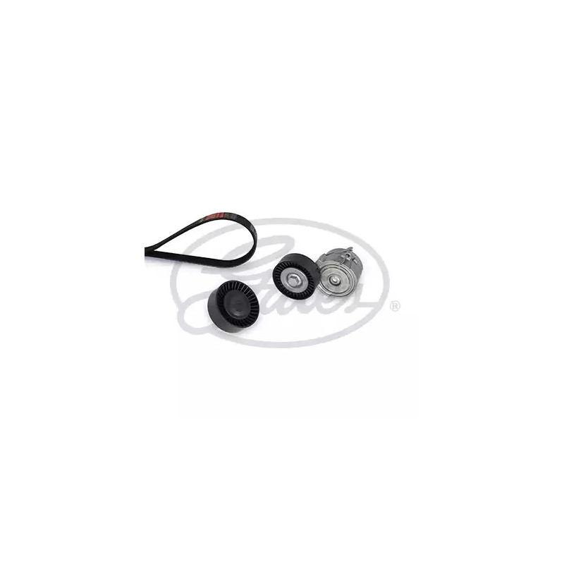 Diržų komplektas  GATES K016PK2448