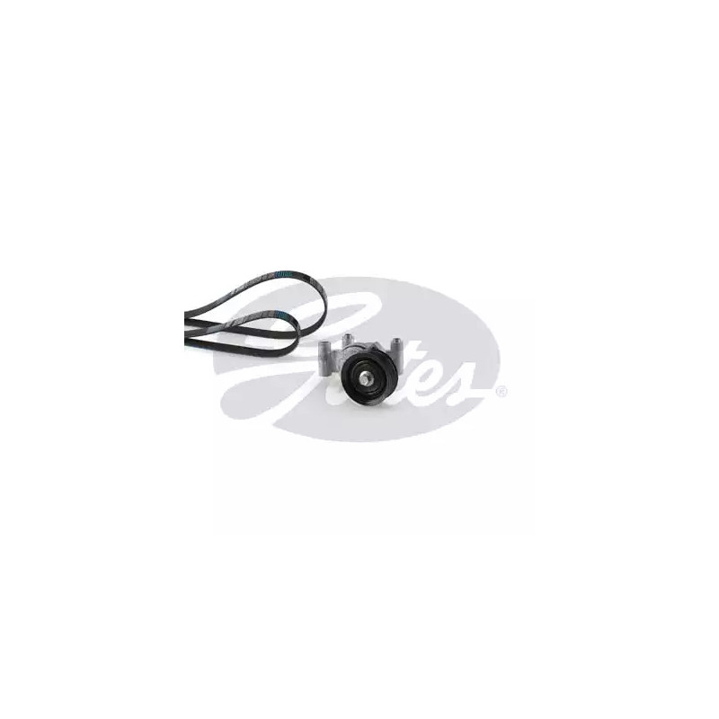 Diržų komplektas  GATES K056PK1305