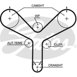 Paskirstymo diržas  GATES T298