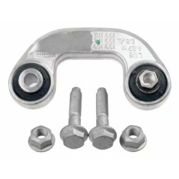 Šarnyro stabilizatorius  LEMFÖRDER 25858 02