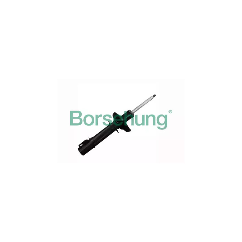 Amortizatorius  Borsehung B12134