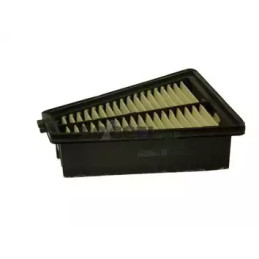 Oro filtras  PURFLUX A1541