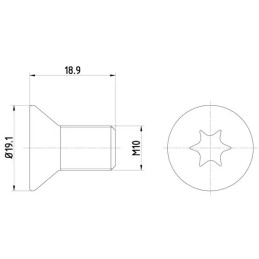 Stabdžių disko varžtas  TEXTAR TPM0010