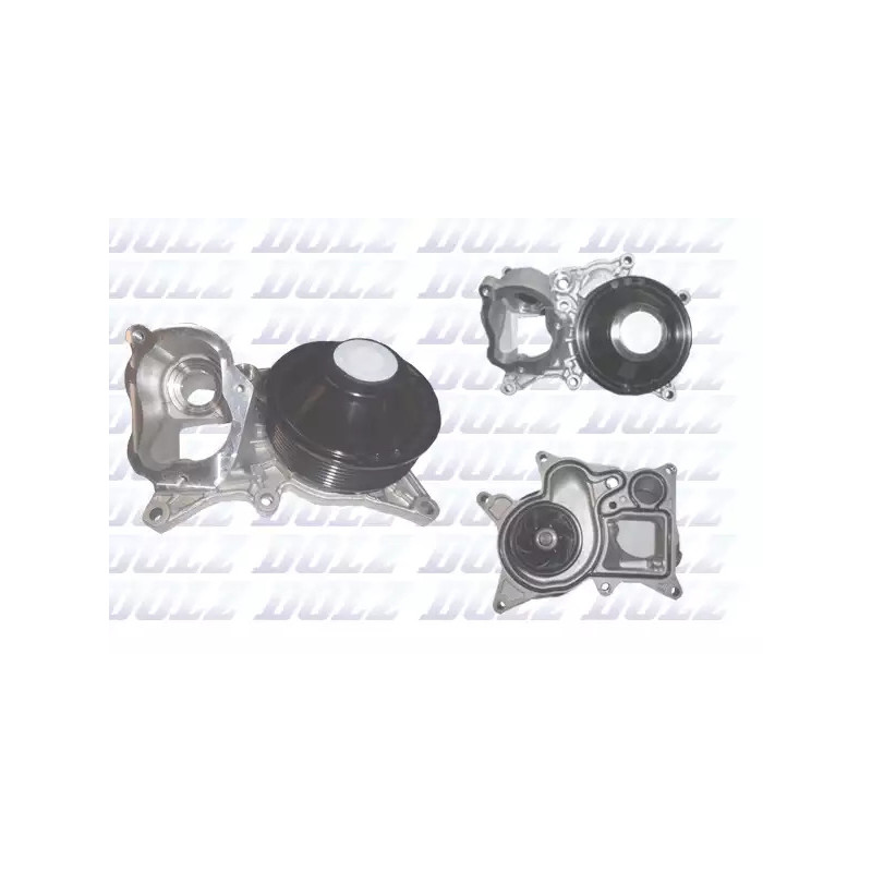 Vandens siurblys  DOLZ B251