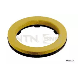 Atraminis guolis  SNR M250.01