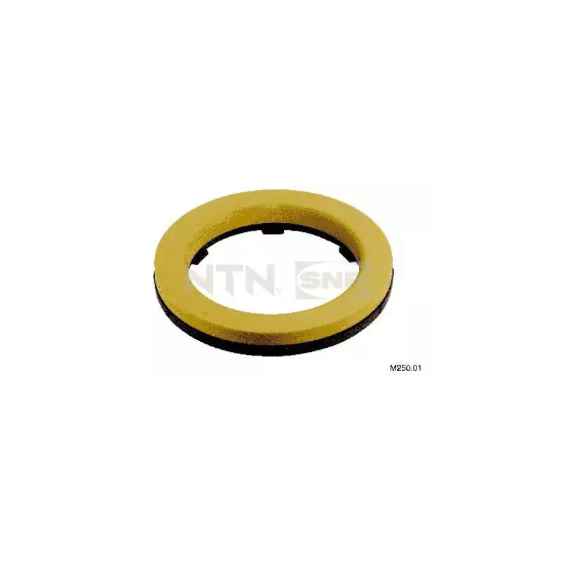 Atraminis guolis  SNR M250.01