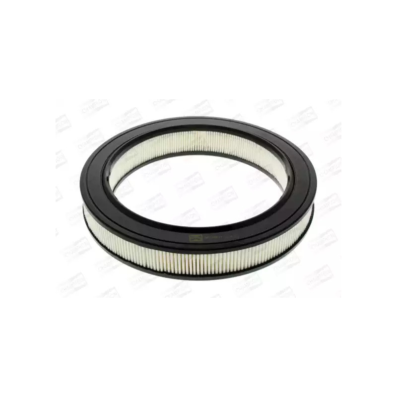 Oro filtras  CHAMPION CAF100103R