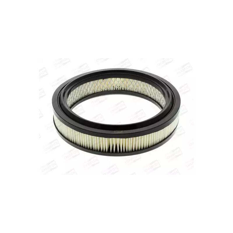 Oro filtras  CHAMPION CAF100107R
