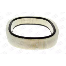 Oro filtras  CHAMPION CAF100229R