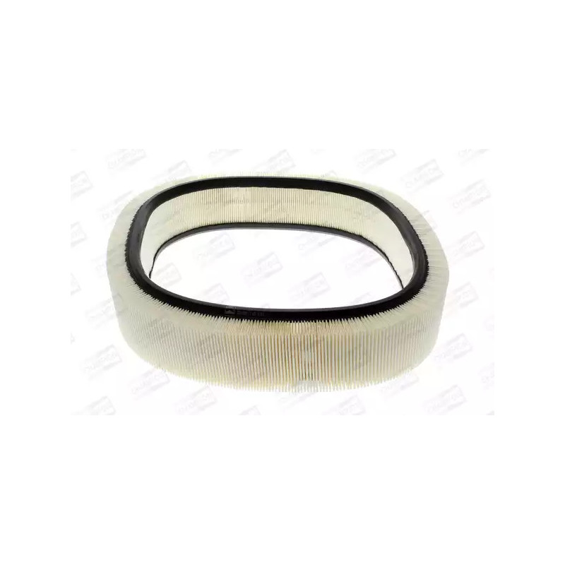 Oro filtras  CHAMPION CAF100229R