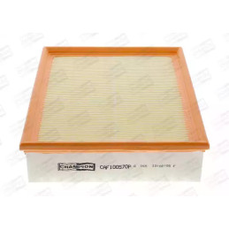 Oro filtras  CHAMPION CAF100570P