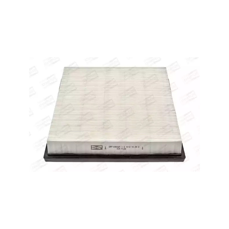 Oro filtras  CHAMPION CAF100666P