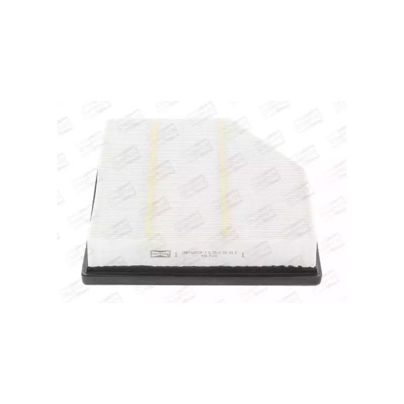 Oro filtras  CHAMPION CAF100773P