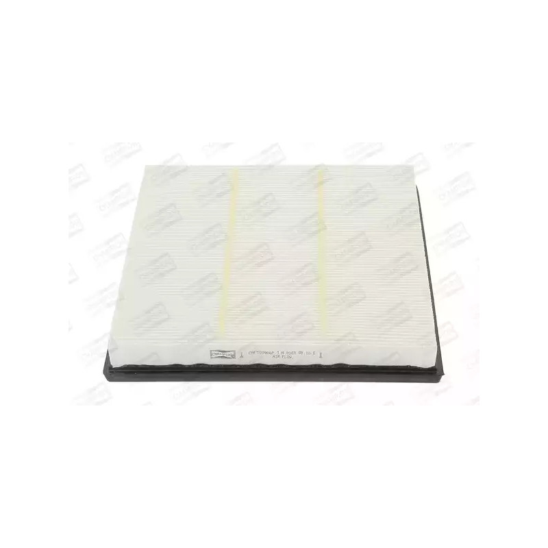 Oro filtras  CHAMPION CAF100986P
