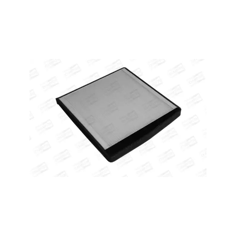 Salono filtras  CHAMPION CCF0029