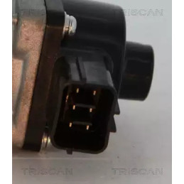 ERG vožtuvas  TRISCAN 8813 10014