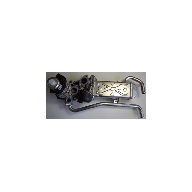 ERG modulis  BorgWarner (Wahler) 710863D