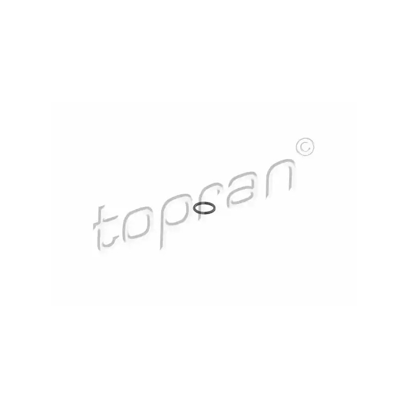 Tarpiklis TOPRAN 100 597