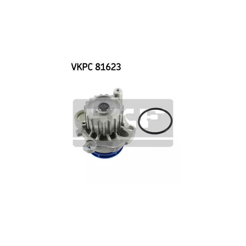 Vandens siurblys  SKF VKPC 81623