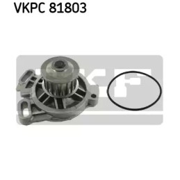 Vandens siurblys  SKF VKPC 81803