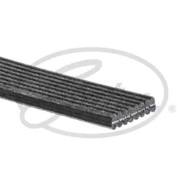 Dirželis  GATES 8DPK1825