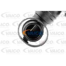 Žarna VAICO V10-3100