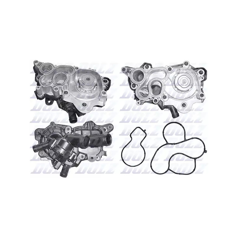 Vandens siurblys  DOLZ A247