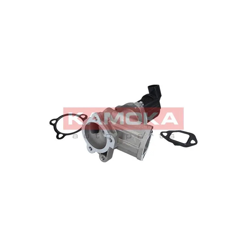 ERG vožtuvas  KAMOKA 19050