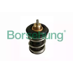 Termostatas  Borsehung B18261