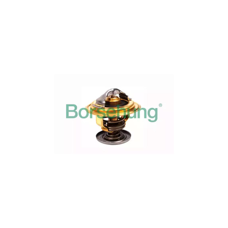 Termostatas  Borsehung B18259