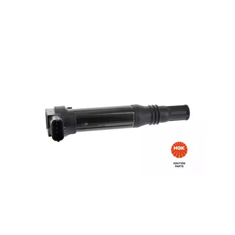 Uždegimo ritė  NGK 49097