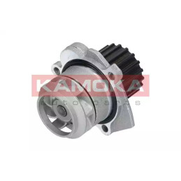 Vandens siurblys  KAMOKA T0253