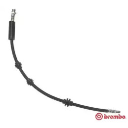 Stabdžių žarnelė  BREMBO T 23 033