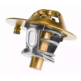 Termostatas  BorgWarner (Wahler) 3119.82