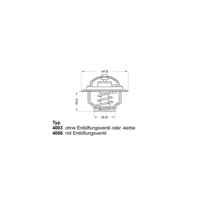 Termostatas  BorgWarner (Wahler) 4008.79D