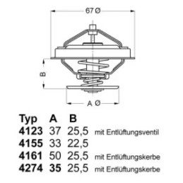 Termostatas  BorgWarner (Wahler) 4123.80D