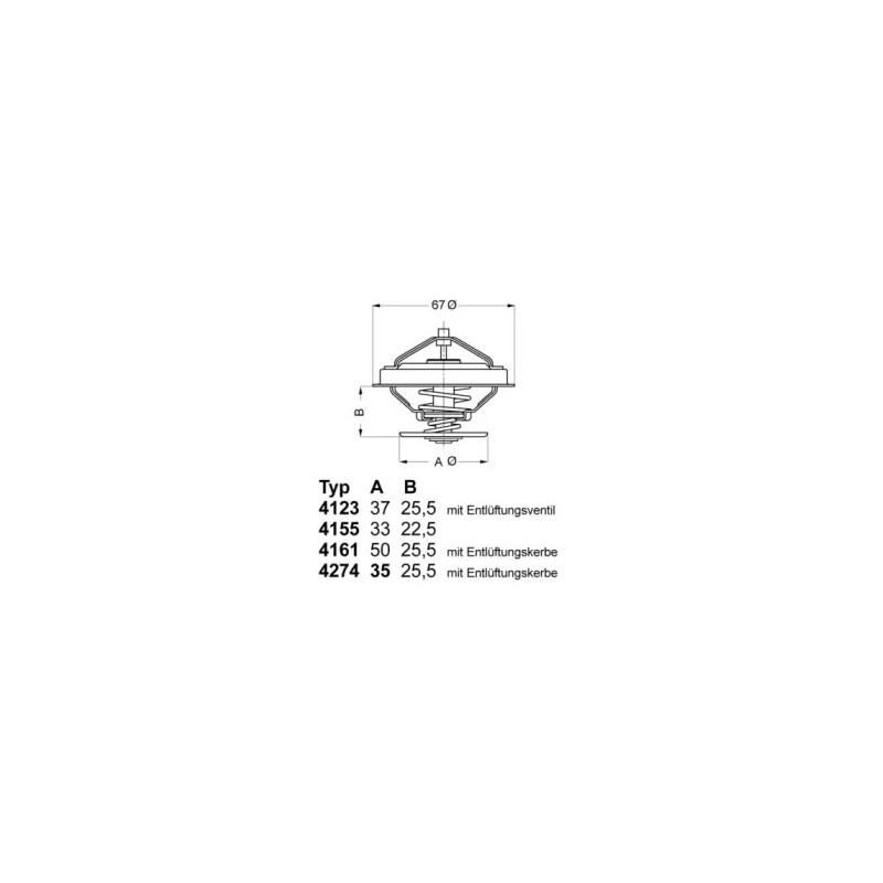 Termostatas  BorgWarner (Wahler) 4123.80D