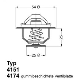 Termostatas  BorgWarner (Wahler) 4174.82D