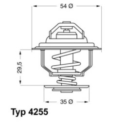 Termostatas  BorgWarner (Wahler) 4255.87D