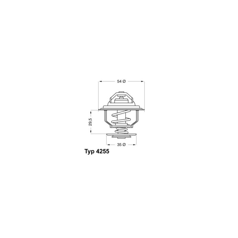 Termostatas  BorgWarner (Wahler) 4255.87D