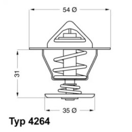 Termostatas  BorgWarner (Wahler) 4264.87D