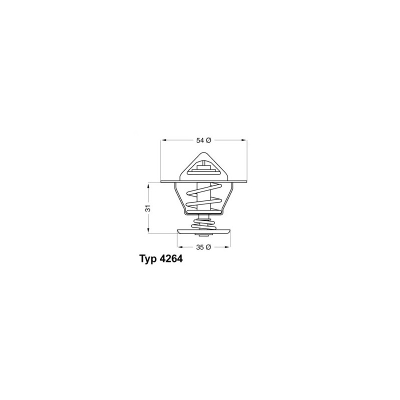 Termostatas  BorgWarner (Wahler) 4264.87D