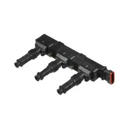 Uždegimo ritė  DELPHI GN10362-12B1