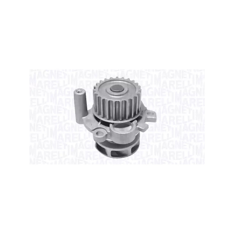 Vandens siurblys  MAGNETI MARELLI 352316171165