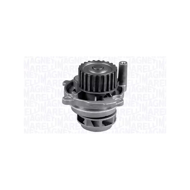 Vandens siurblys  MAGNETI MARELLI 352316171209